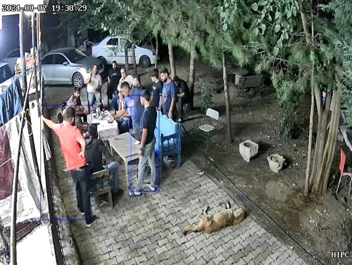 Narin Güran Cinayetinde Yeni Gelişmeler