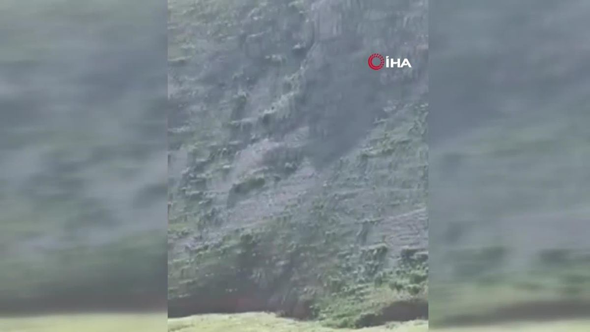 Yaban Keçileri Kameraya Poz Verdi