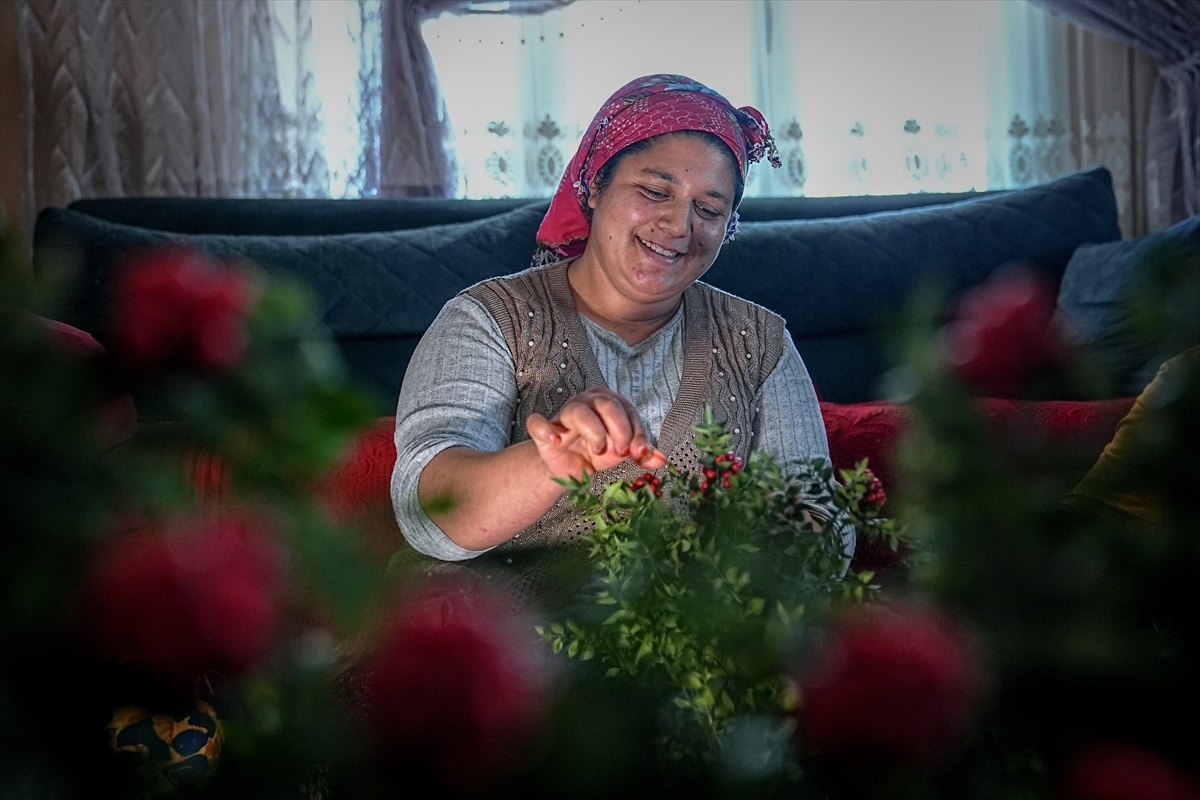 Kokina Çiçeği: Emek ve Mücadeleyle Şans Getiriyor