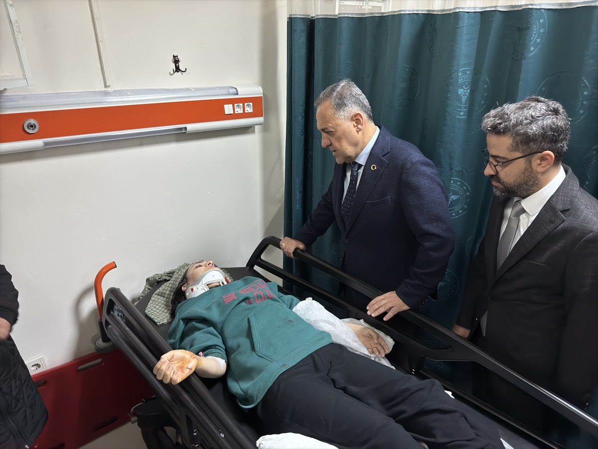 Bingöl\'de Kaza: Öğretmen ve Doktor Çifti Hayatını Kaybetti