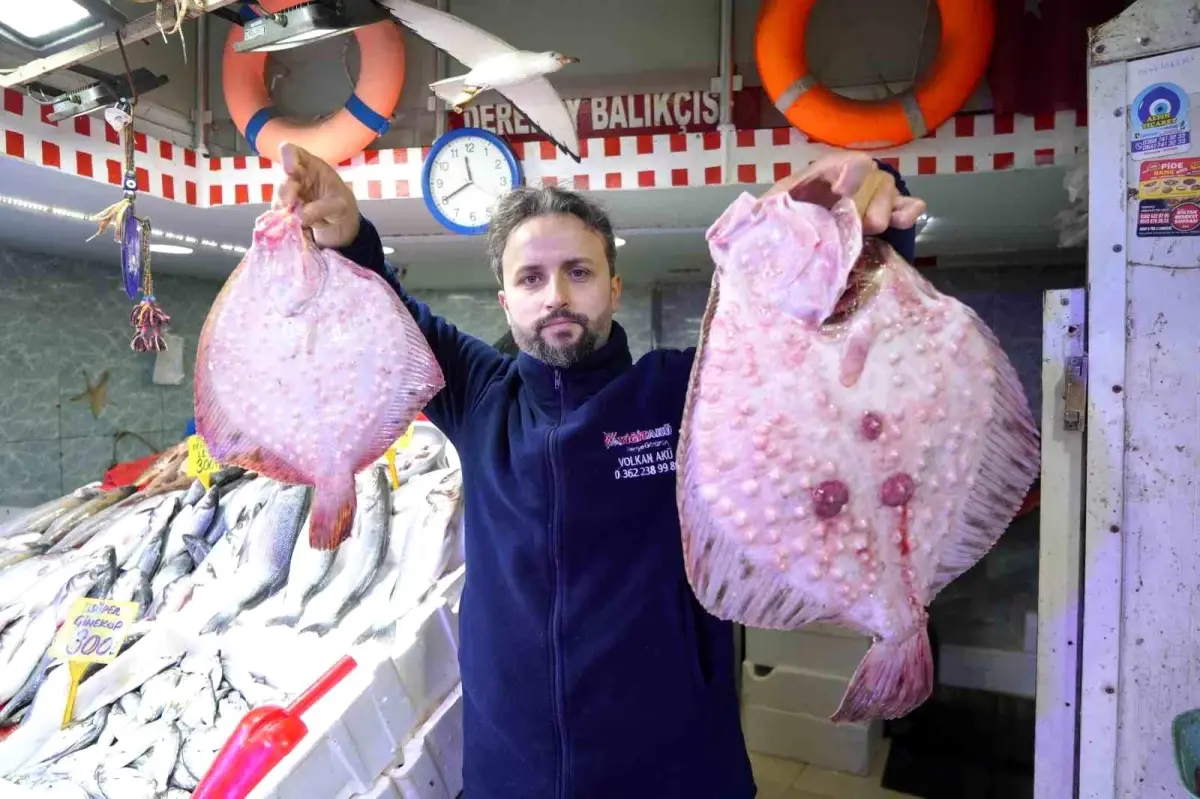 Samsun\'da Kalkan Balığı Fiyatı Altınla Yarışıyor