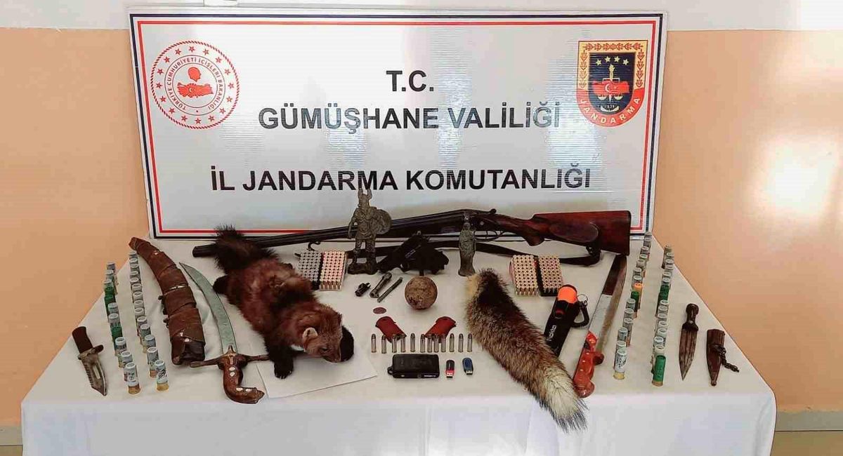 Gümüşhane\'de Silah ve Tarihi Eser Operasyonu