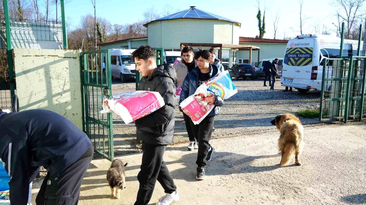 Düzceli Öğrencilerden Sokak Hayvanlarına Anlamlı Destek