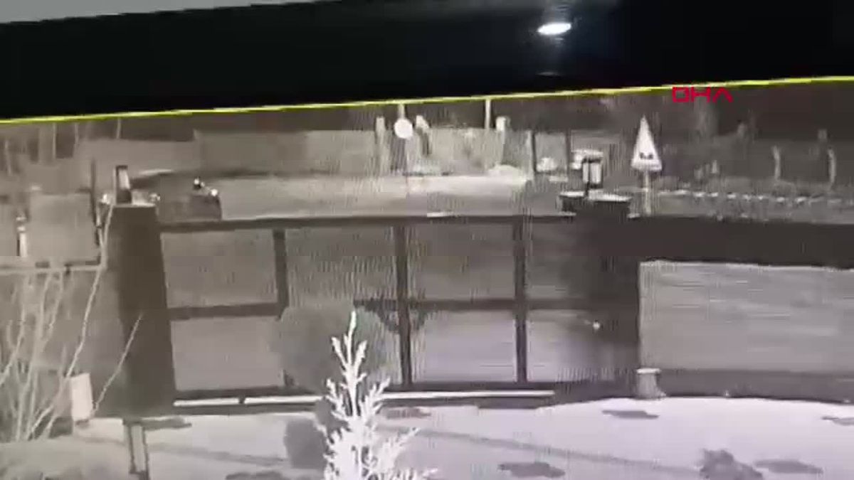 Eski Milli Basketbolcunun Evi Soyuldu, 8 Altın Madalya Çalındı