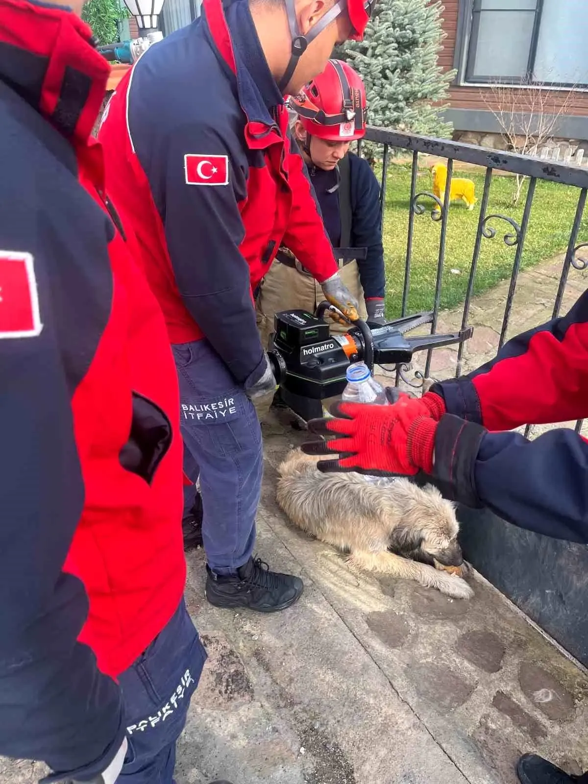 Köpek İtfaiye Ekiplerince Kurtarıldı