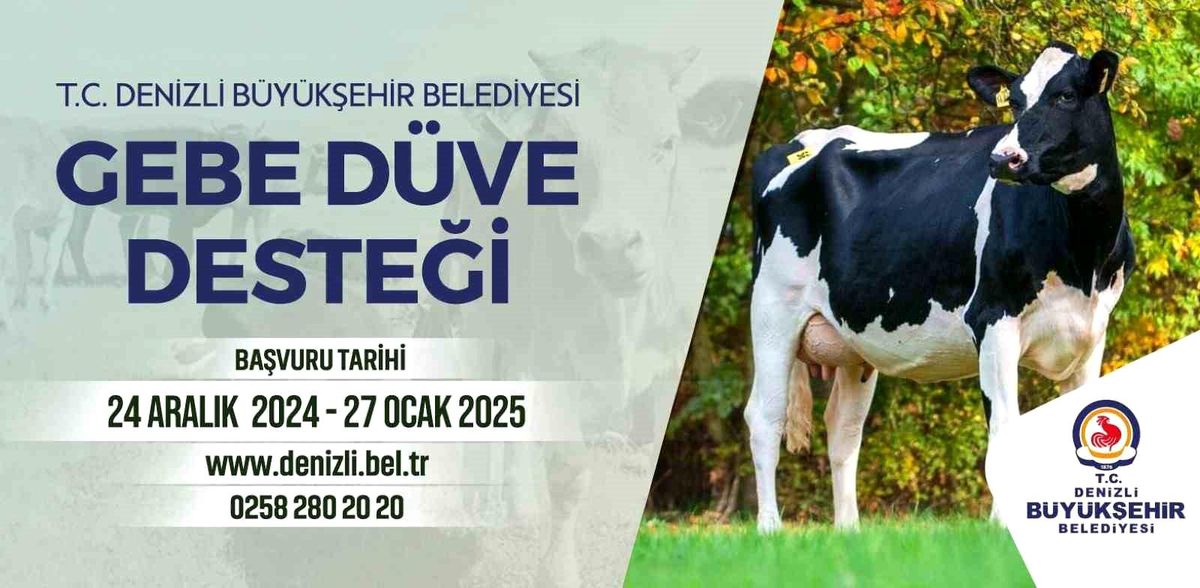 Denizli\'de Gebe Düve Desteği Başvuruları Başladı
