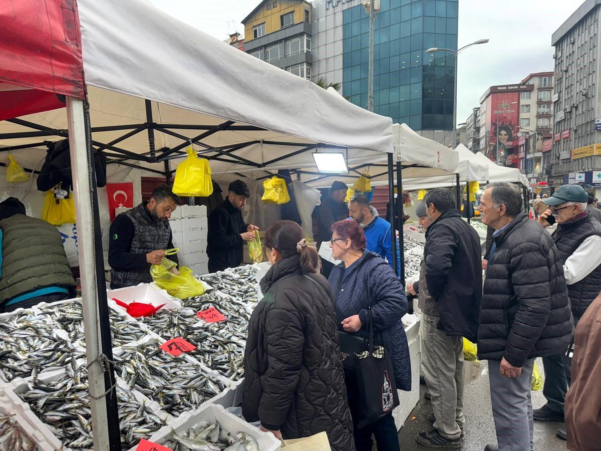 Zonguldak\'ta İstavrit Fiyatları Düştü