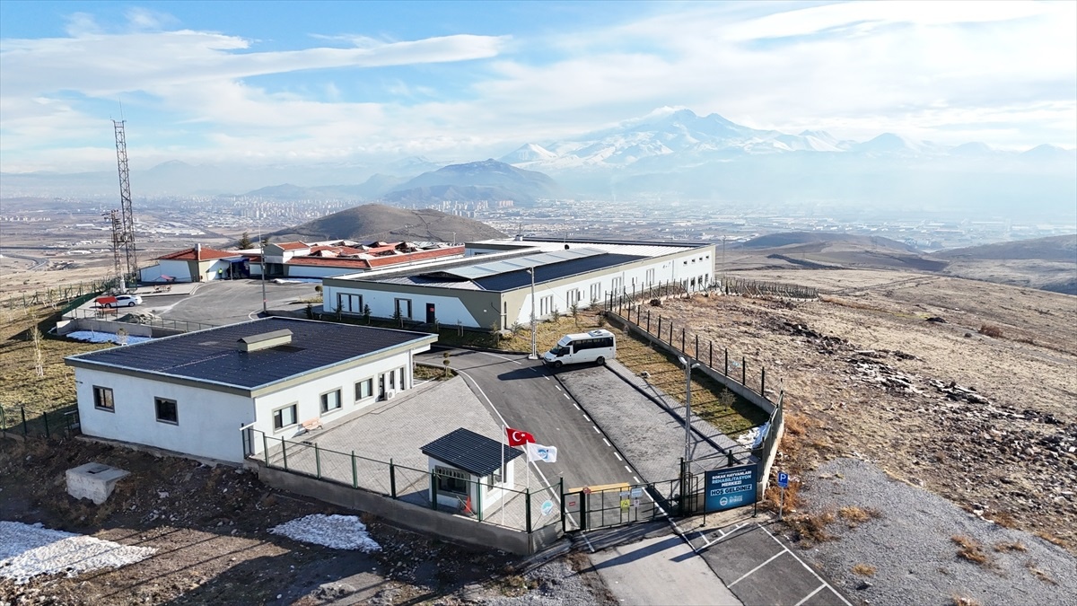 Kayseri\'de Sokak Hayvanları Rehabilitasyonu