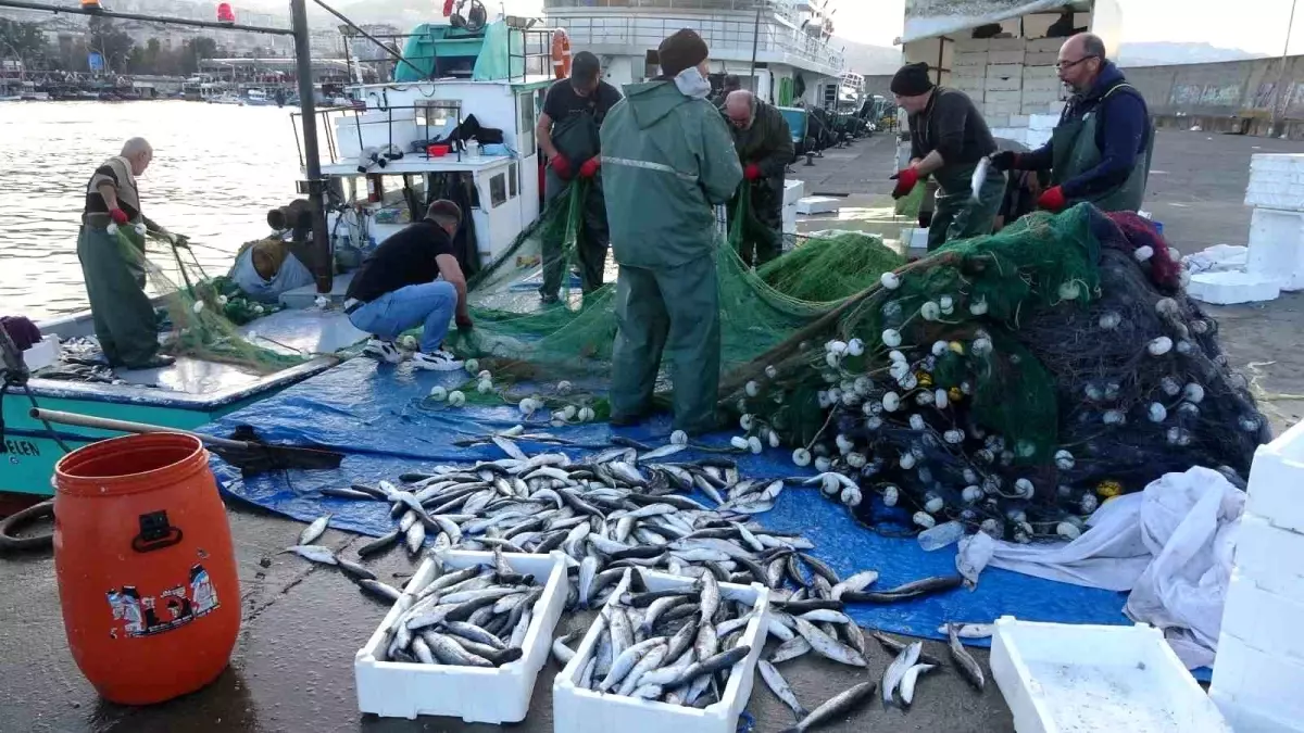 Karadeniz\'de En Bereketli Balık Sezonu