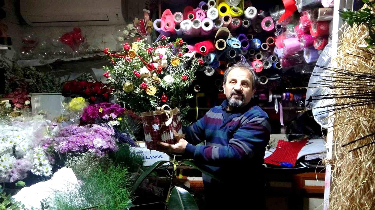 Kokina Çiçeğine Yılbaşı Ilgisi