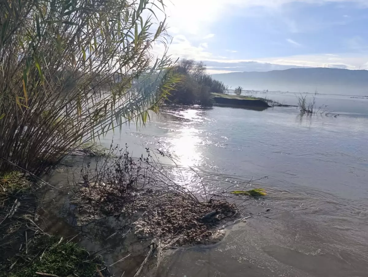 Büyük Menderes Nehri Taştı, 1000 Dönüm Tarım Arazisi Sular Altında Kaldı