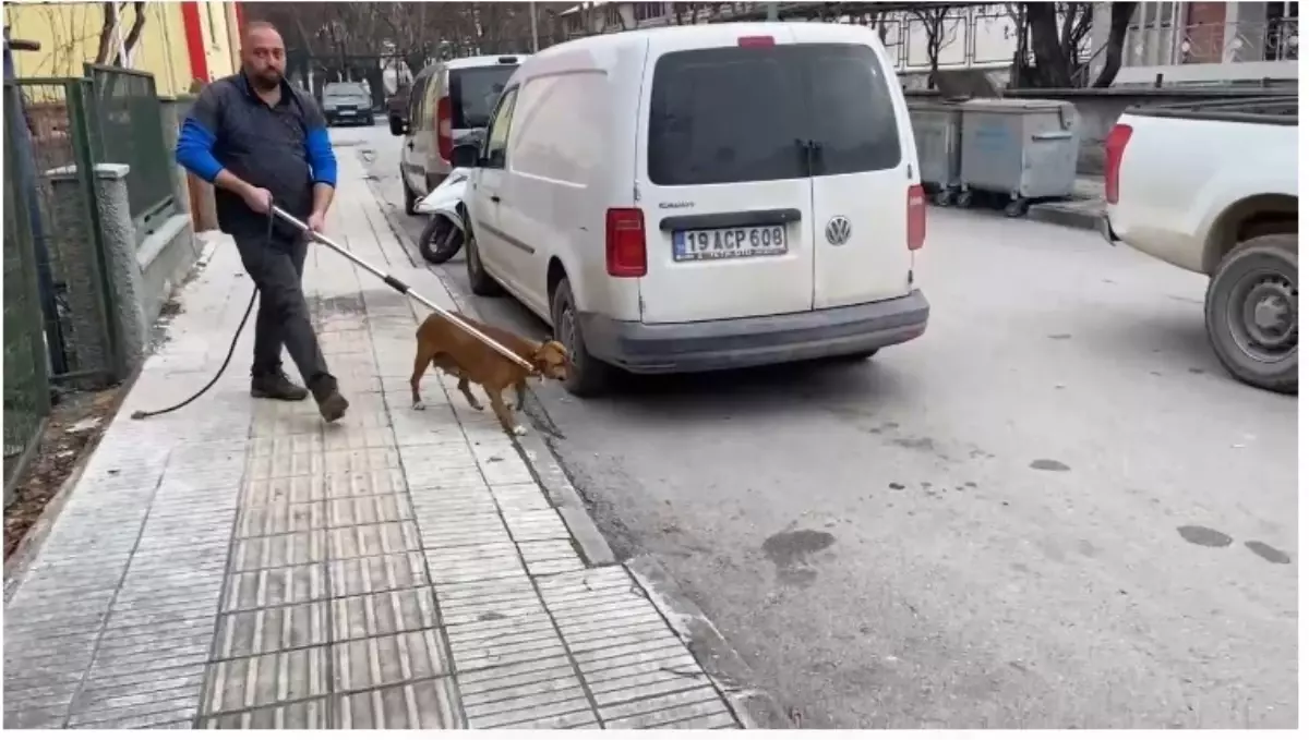 Köpek Saldırısı İhtimali: Ahmet Selim Vural\'ın Cesedi Bulundu