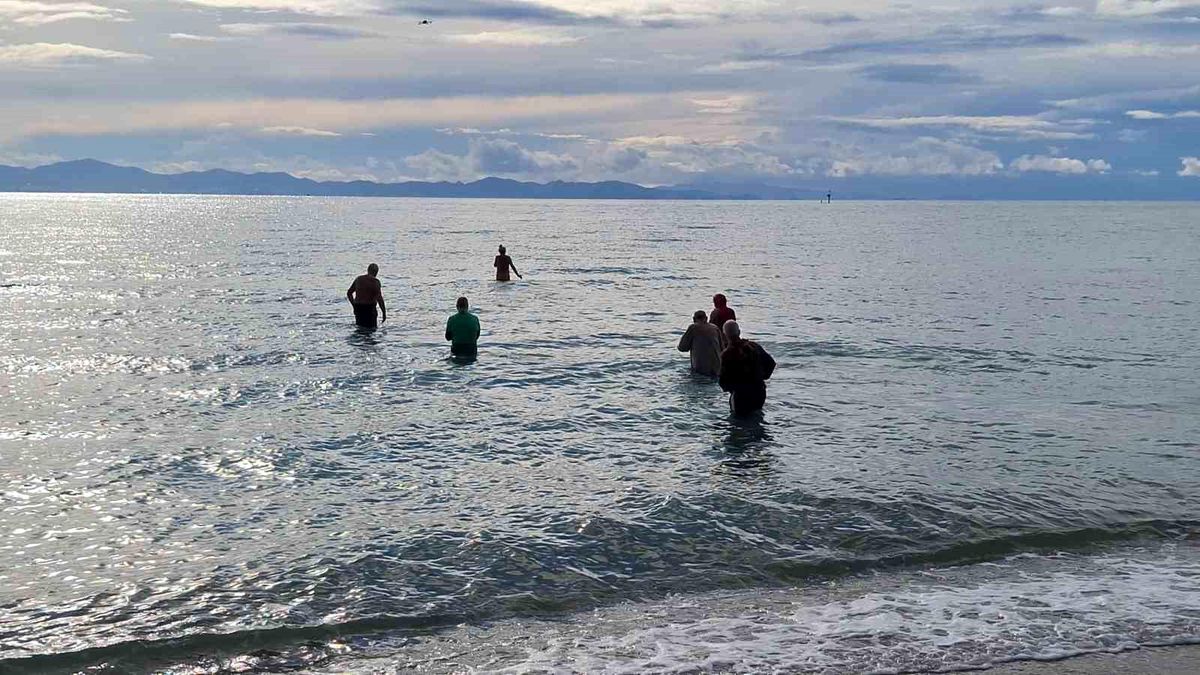 Didim\'de Sokak Hayvanları İçin Denize Girildi