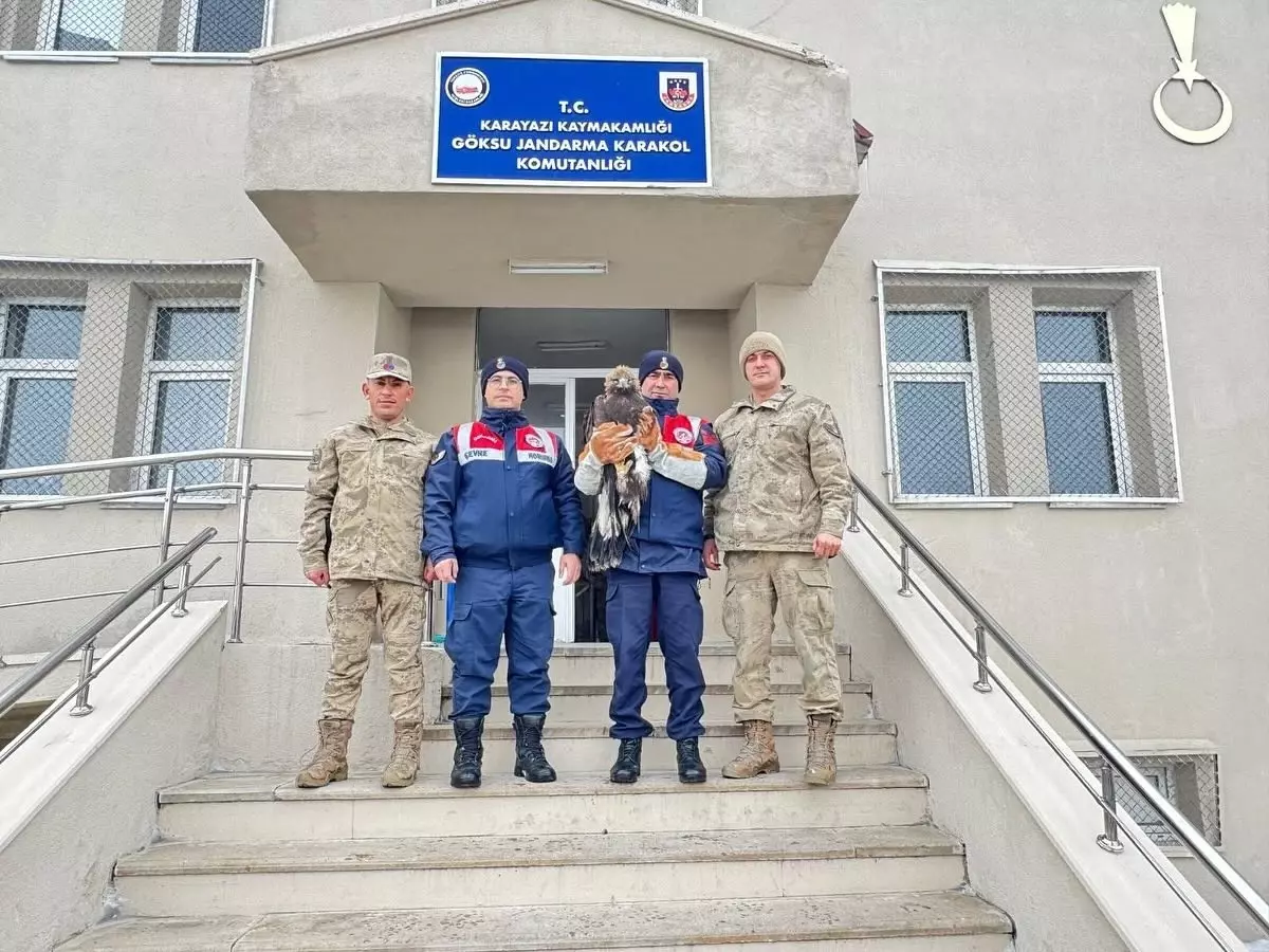 Bitkin Kartal Tedavi Edilip Doğaya Bırakılacak