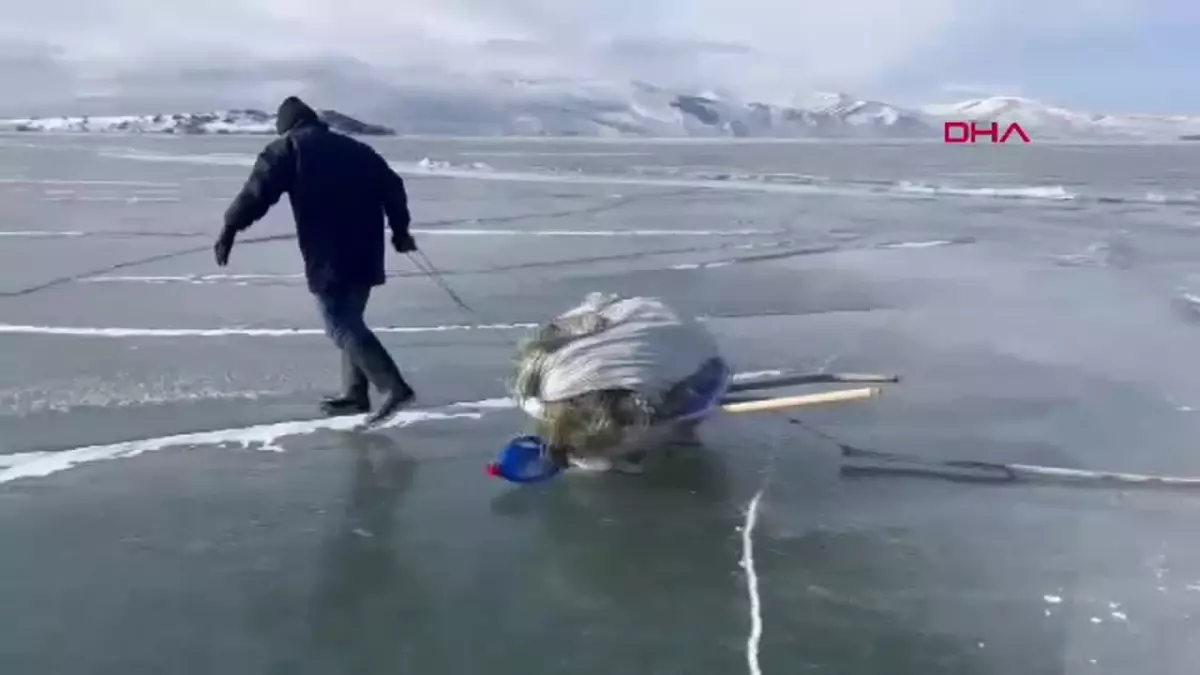 Çıldır Gölü\'nde Eskimo Usulü Balık Avı Bereketle Başladı