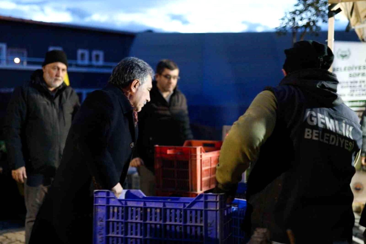 Gemlik Belediyesi Zeytin Üreticilerine Destek Sağlıyor