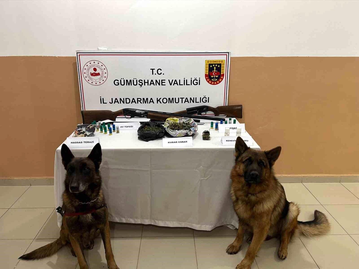 Gümüşhane\'de Uyuşturucu ve Silah Operasyonu