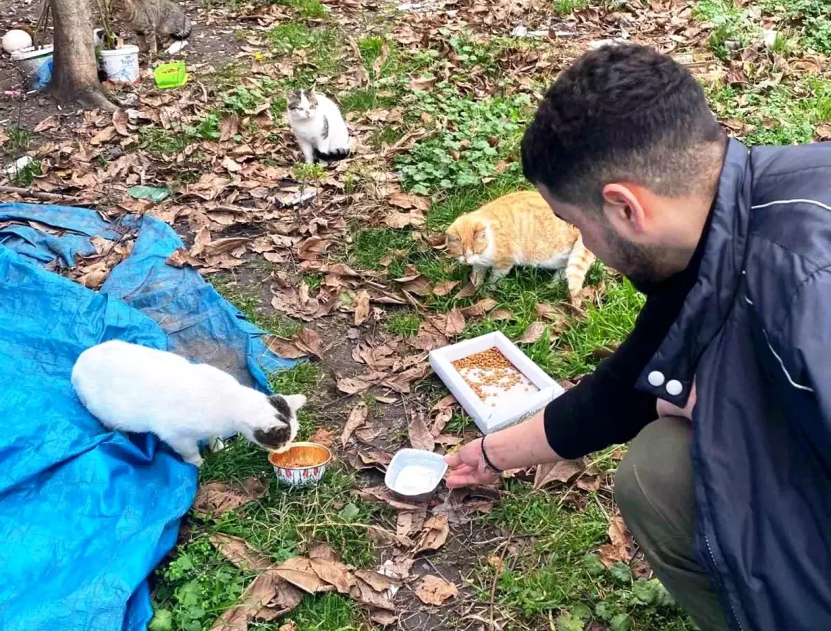 OMÜ Öğrencilerinden Sokak Hayvanlarına Destek