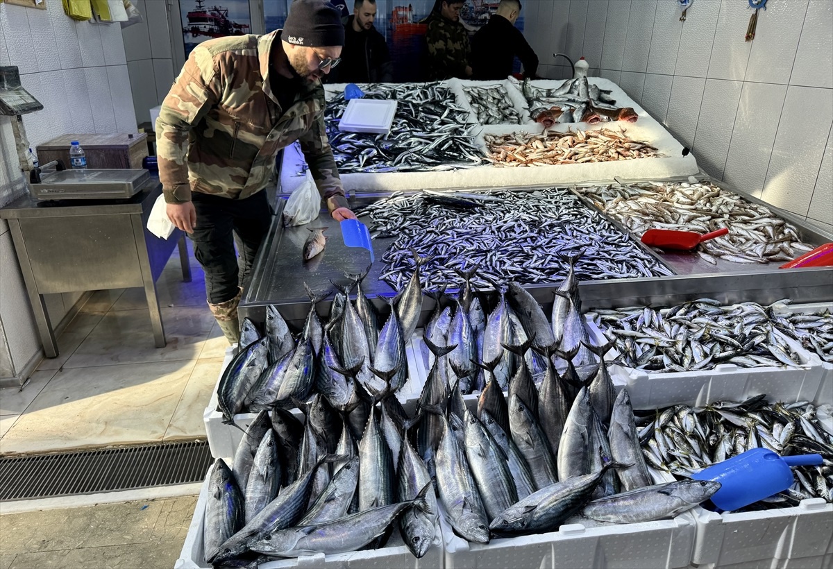 Palamut Fiyatları 200 Lirayı Buldu