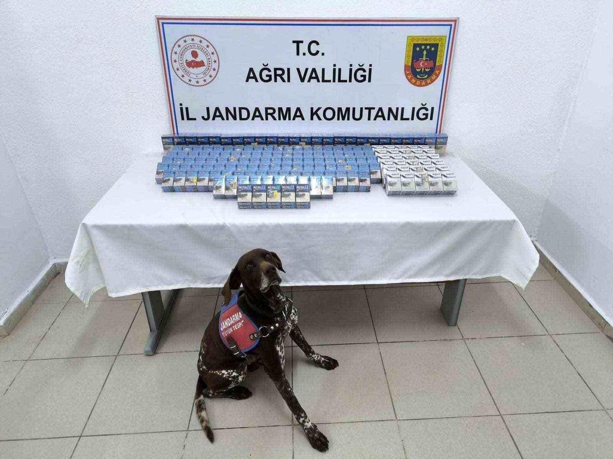 Ağrı\'da 2 Bin Paket Kaçak Sigara Ele Geçirildi