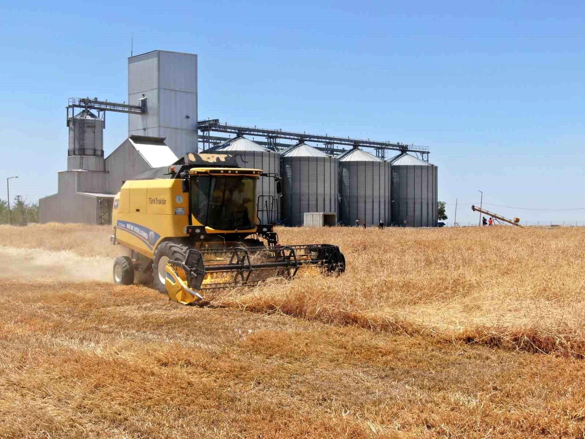 ÇKS Kayıtları için Son Tarih 31 Aralık