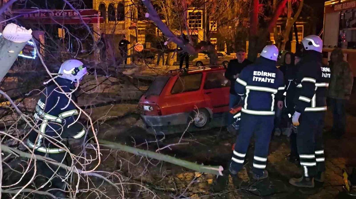 Ağaç otomobilin üzerine devrildi