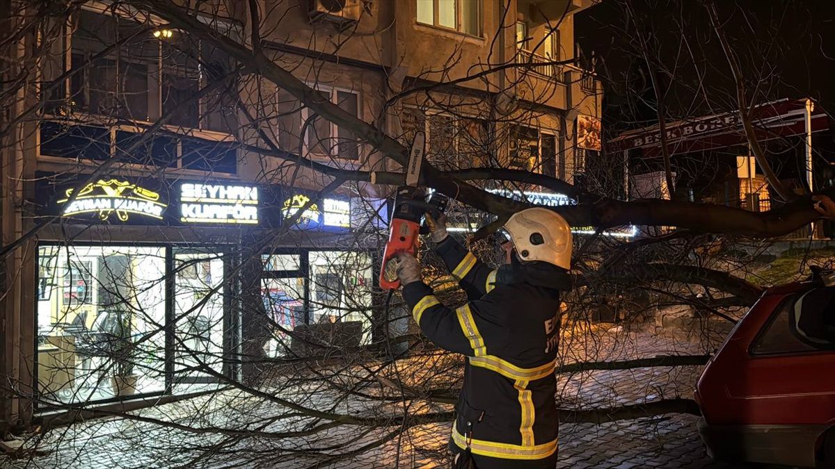 Edirne\'de Ağaç Otomobile Devrildi