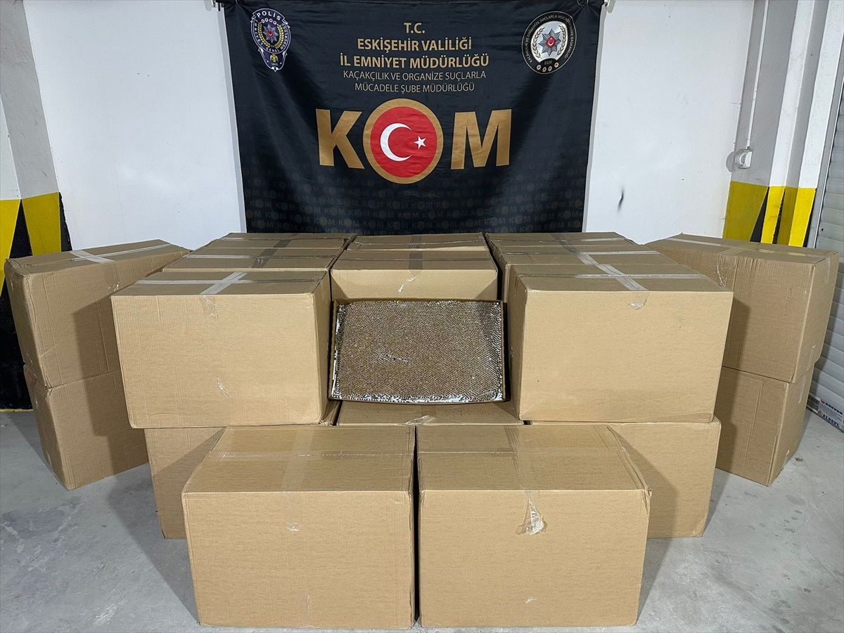 Eskişehir\'de 603 bin makaron ele geçirildi
