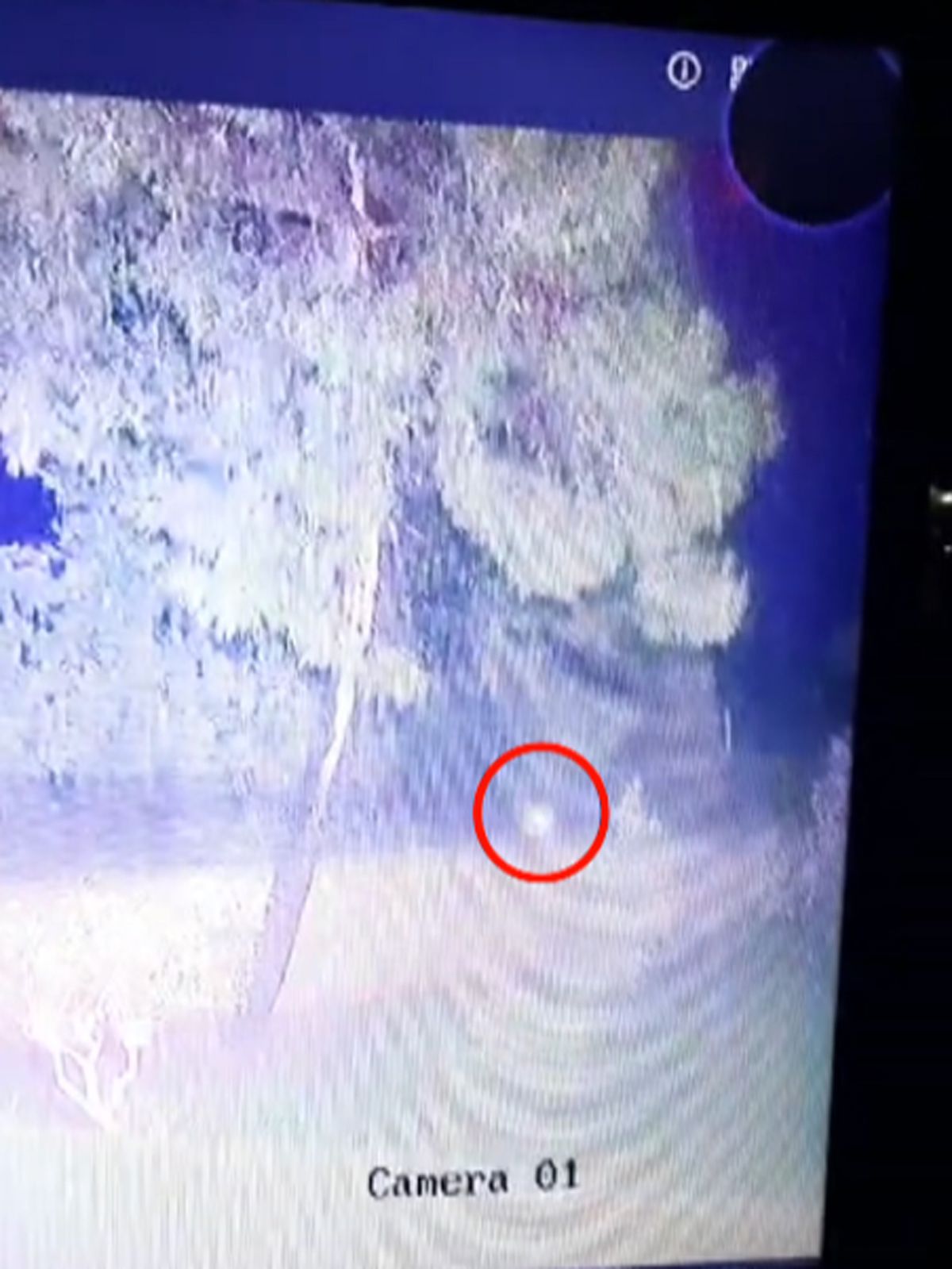 Otomobilin Denize Düşüş Anları Güvenlik Kamerasında
