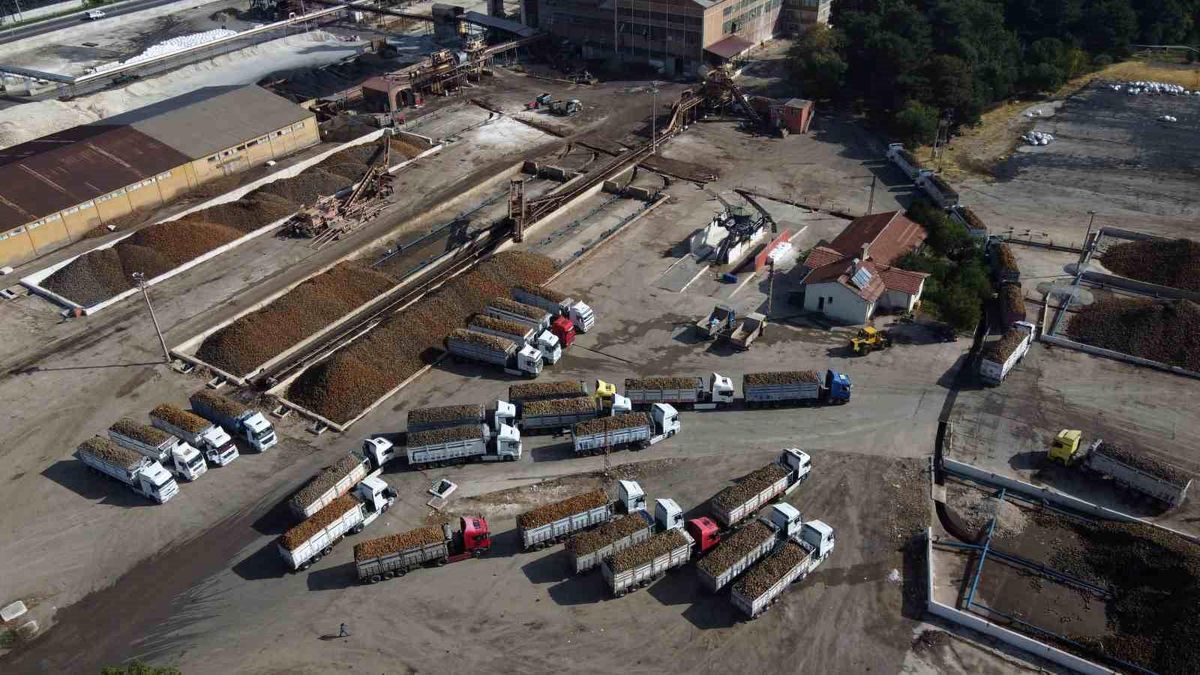 Malatya Şeker Fabrikası Üretim Raporu