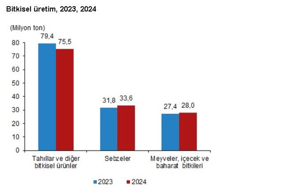 TÜİK 2024 Bitkisel Üretim İstatistiklerini Açıkladı