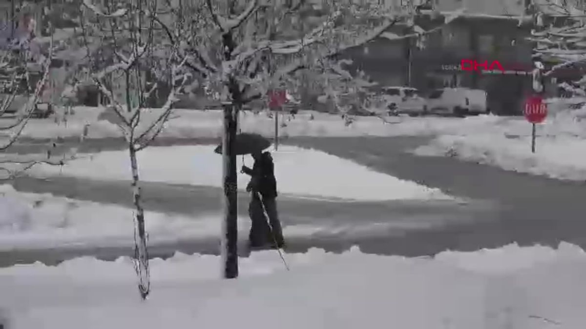 Bitlis\'te Kar Yağışı Nedeniyle 165 Köy Yolu Kapandı