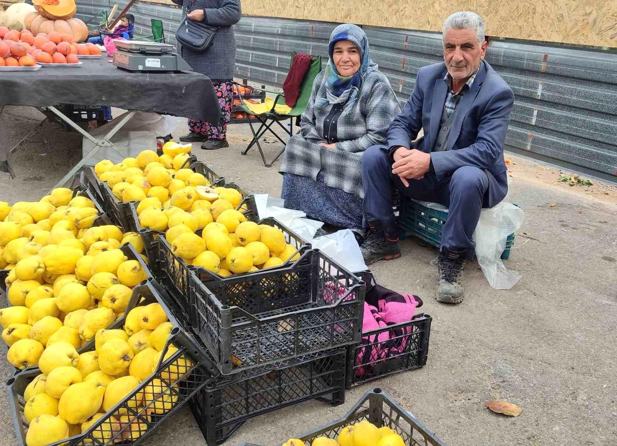 Ayvalar ile Geçim Sağlıyorlar