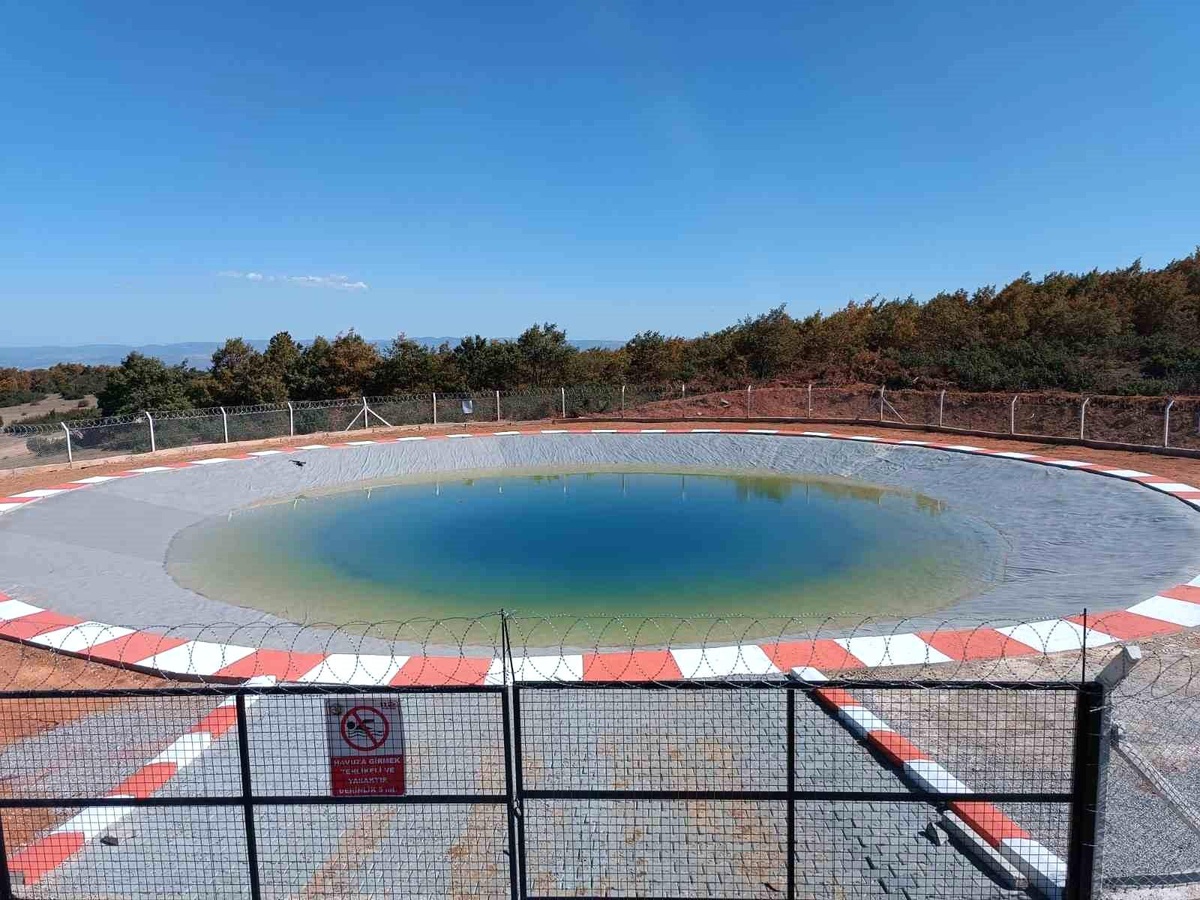 Kütahya Orman Yatırımı 2025\'te 109 Milyon TL