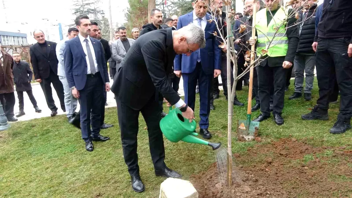 Bakan Memişoğlu Bilecik\'te Fidan Dikti