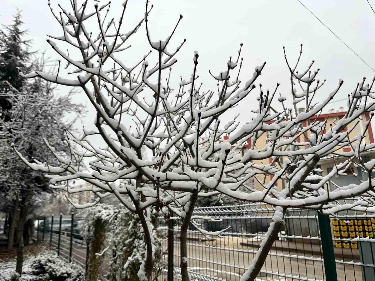 Eskişehir Beyaza Büründü