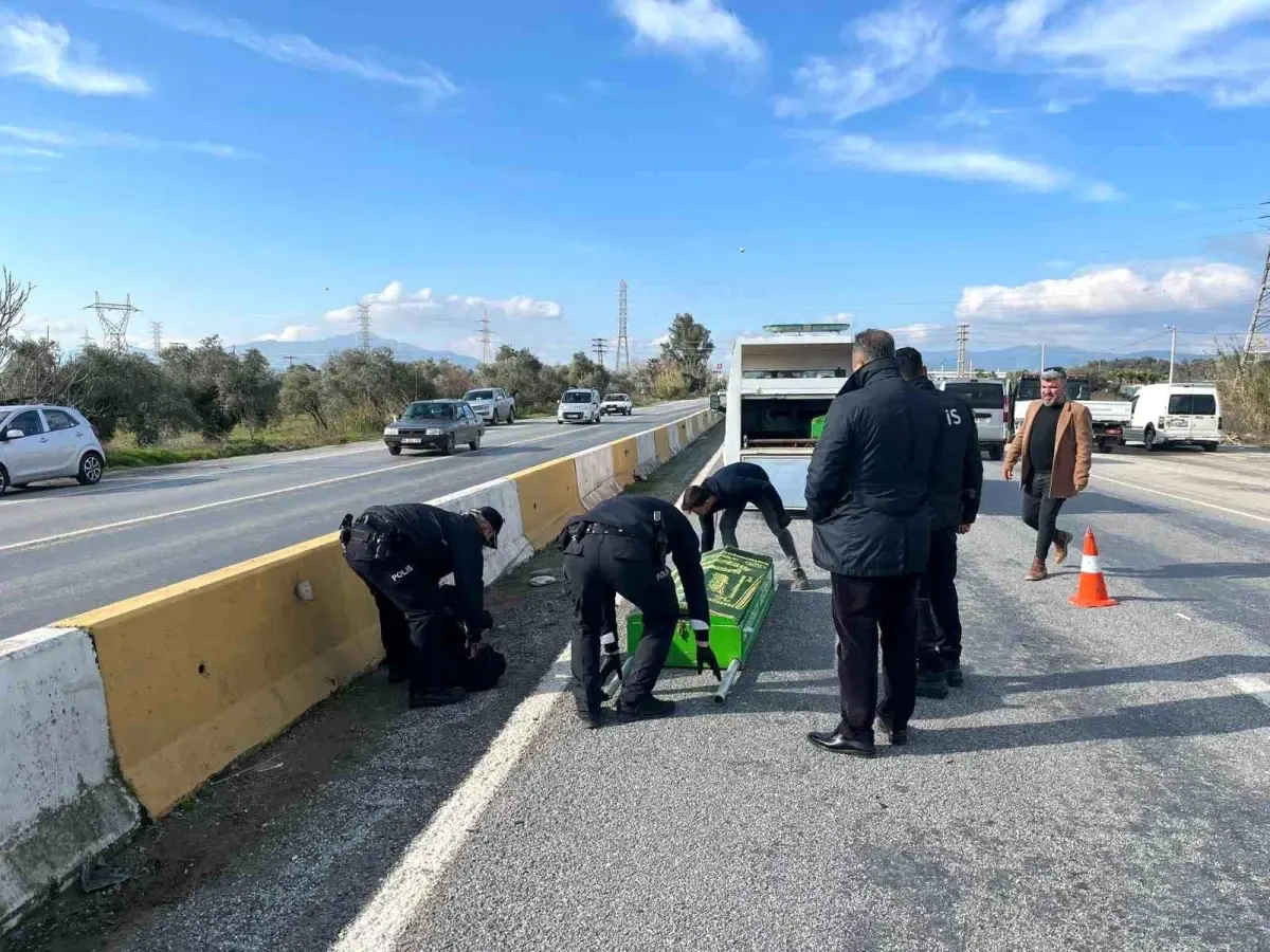 Yolda Geçiş Yapan Kadın Kamyonetle Çarpıldı