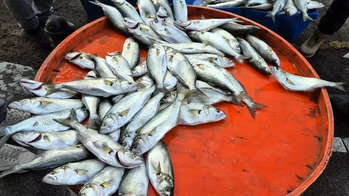 Tekirdağ\'da Balık Satışı ve Yılbaşı Önerisi