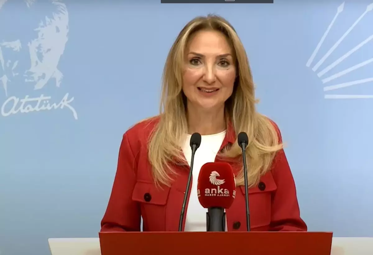 CHP\'li Aylin Nazlıaka: 2024\'te En Az 608 Kadın Cinayeti Gerçekleşti