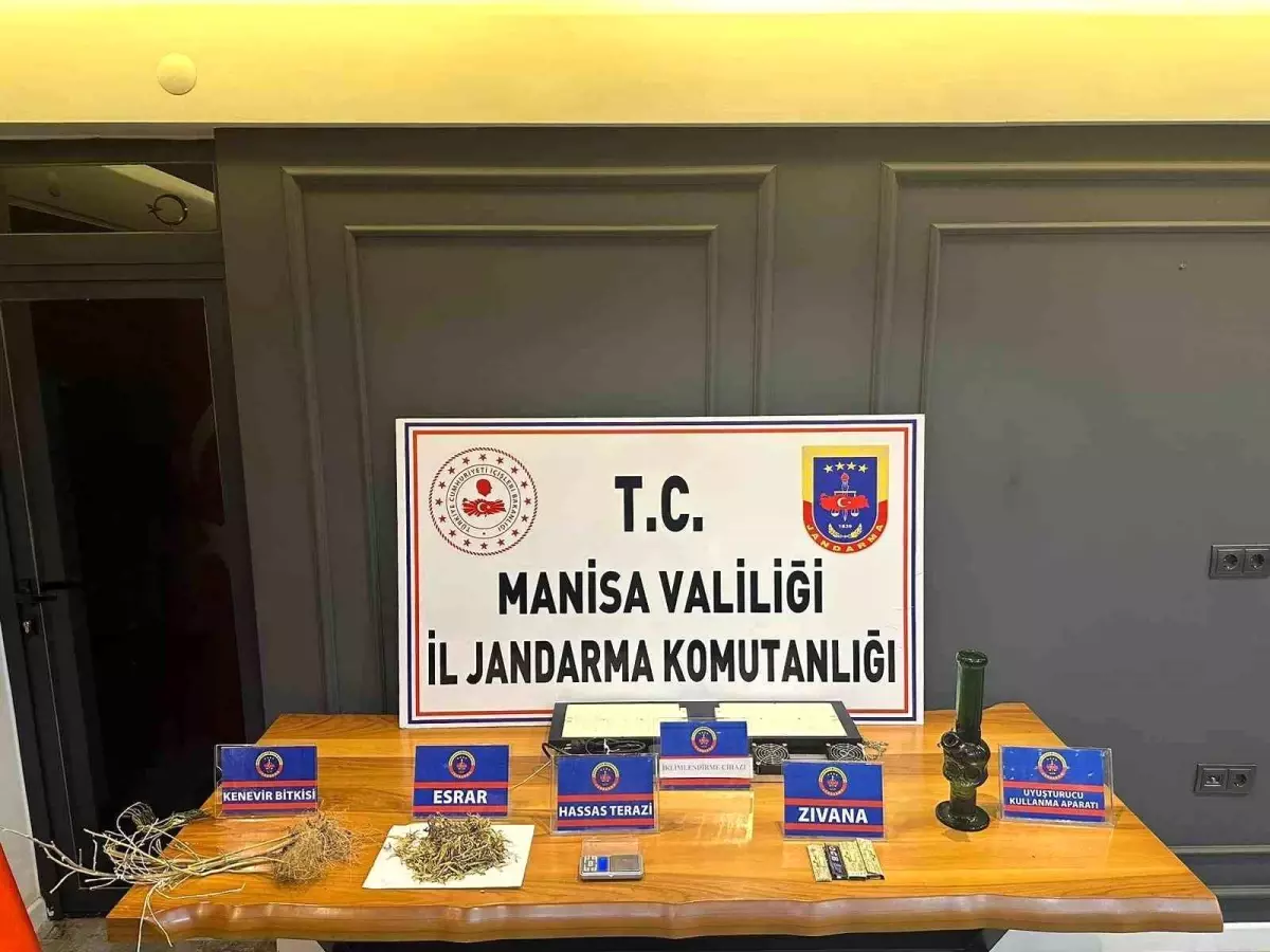 Manisa\'da Kenevir Yetiştiren Şüpheli Yakalandı