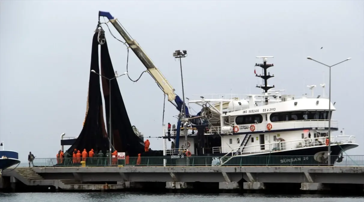 Hamsi Stokları İçin İşbirliği Çağrısı