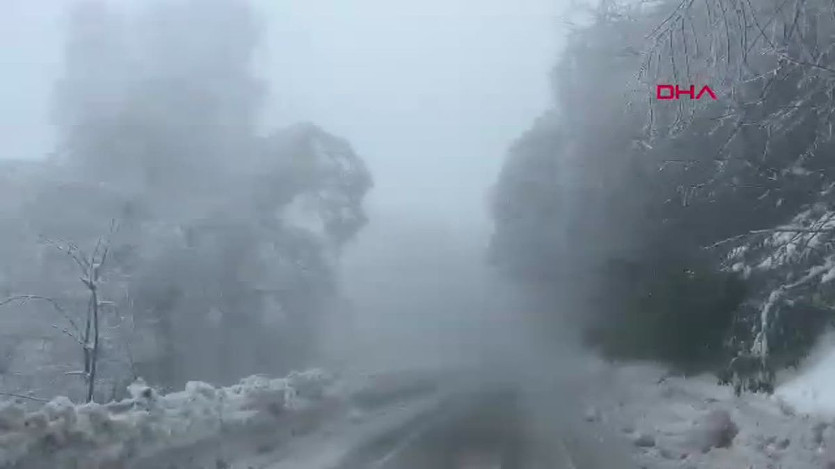 Kartepe\'de Kar Manzarası ve Sisin Güzelliği