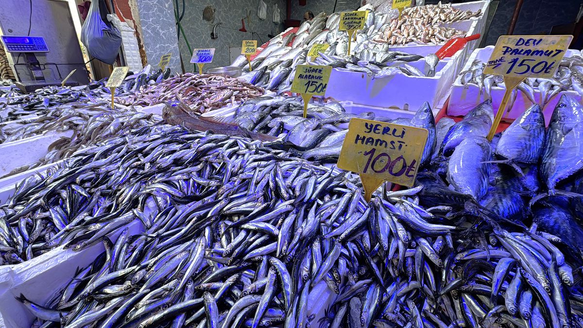 Samsun\'da Yılbaşı İçin Balık Fiyatları Yarıya Düştü