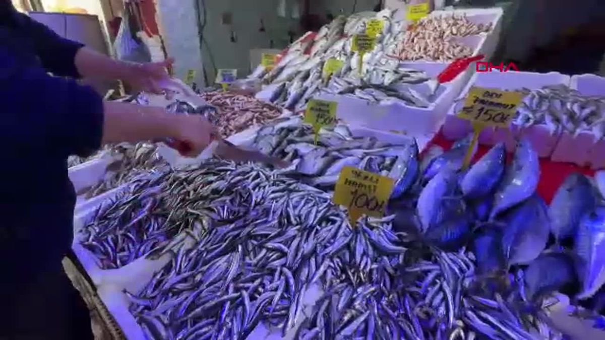 Samsun\'da Yılbaşı İndirimi: Hamsinin Kilosu 100 Lira