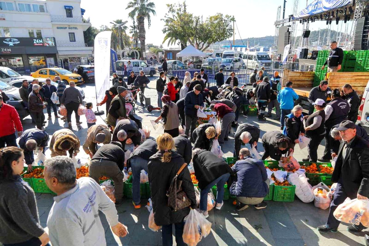 Bodrum\'da Ücretsiz Mandalina Dağıtımı Devam Ediyor