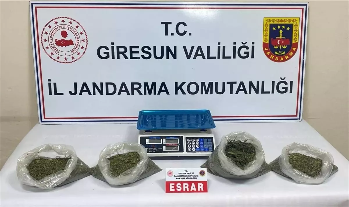 Bulancak\'ta Uyuşturucu Operasyonu: 2 Tutuklama