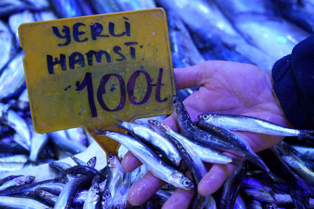 Samsun\'da Hamsi Fiyatları Yarıya Düştü