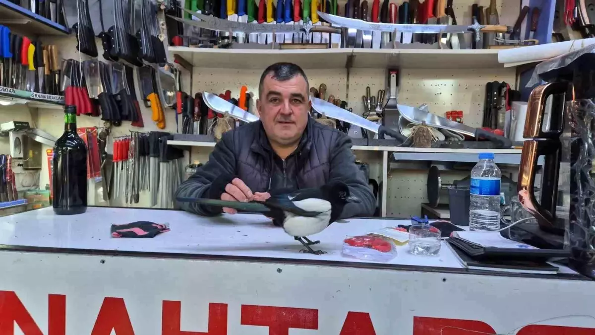 Rafa, Tekirdağ\'ın Yeni Maskotu