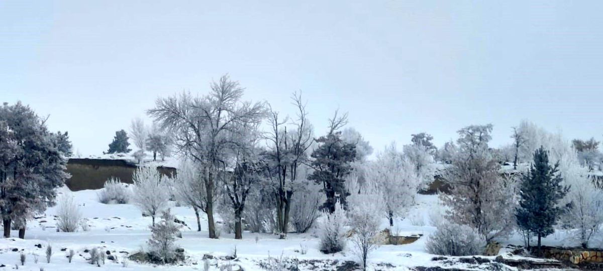 Erzurum\'da Dondurucu Soğuk