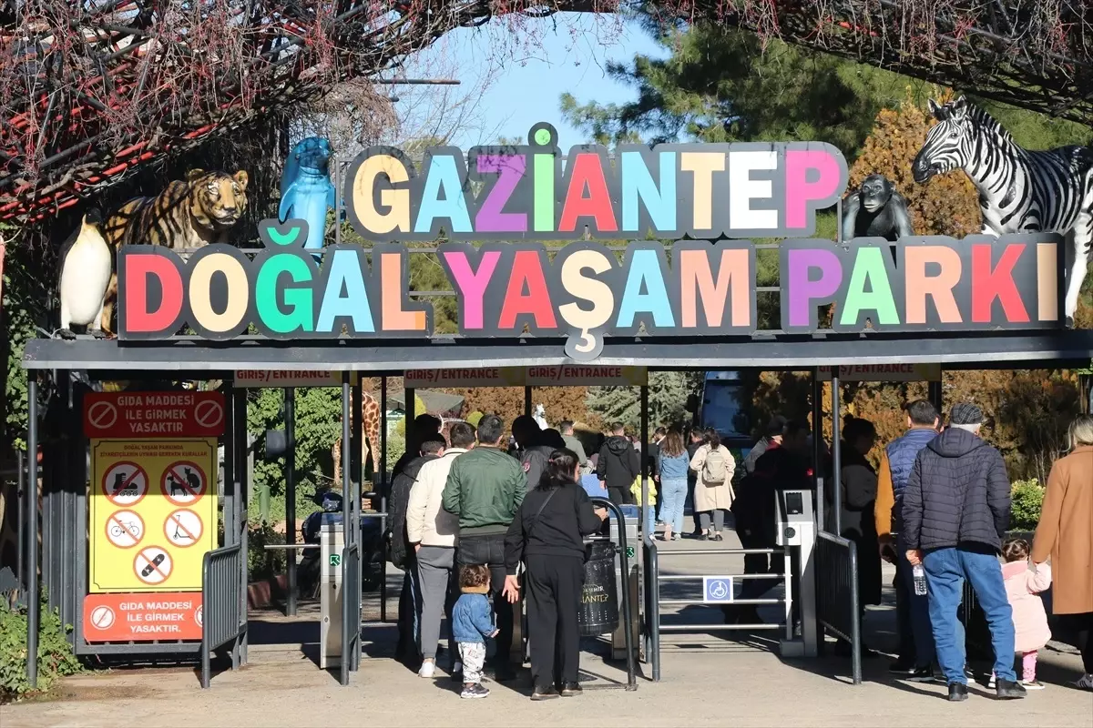 Gaziantep Hayvanat Bahçesi Yılbaşı\'nda Ziyaretçi Akınına Uğradı